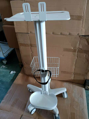 名前